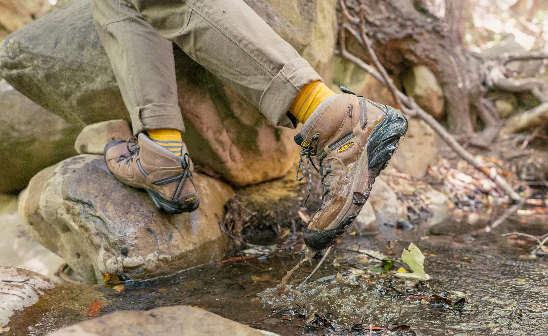 Keen Men's Targhee II Waterproof Mid Wide  |  Canteen/Dark Olive