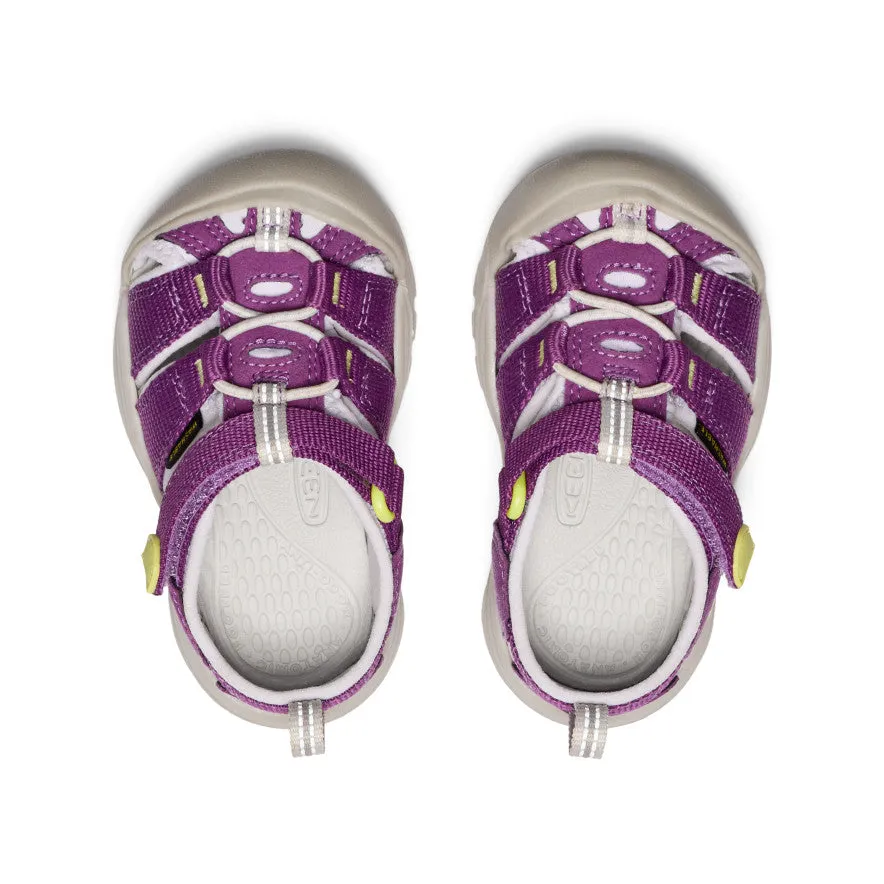 Keen Toddlers' Newport H2  |  Charisma/Daiquiri Green