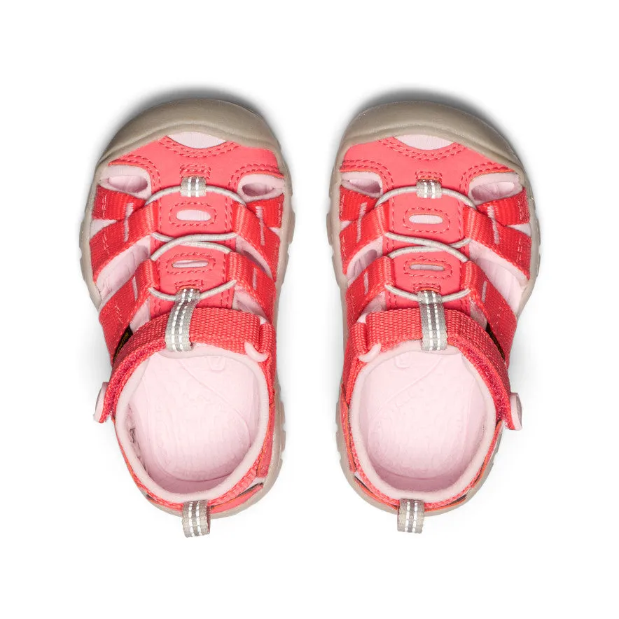 Keen Toddlers' Seacamp II CNX  |  Dubarry/Giggle Pink