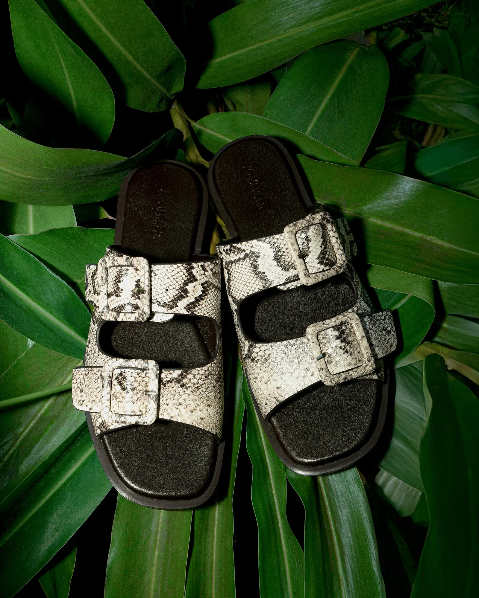 SEBASTIAN FLAT SLIDE NATURAL SNAKE PRINT LEATHER Jo Mercer